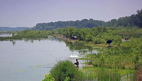  「白心红薯」现在流行“红薯”钓鱼，利用好了，中勾率很客观！