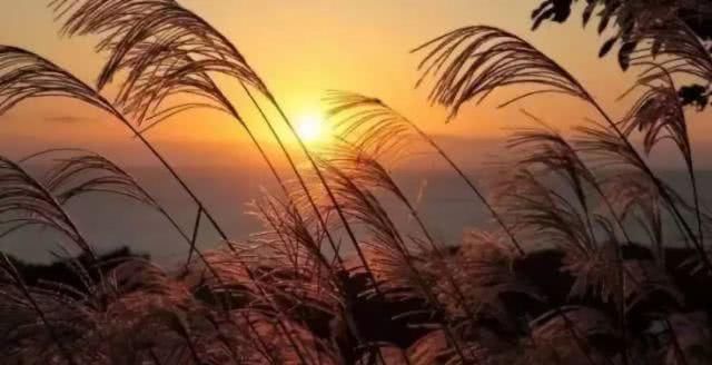 徐州这两天唱起了“小晴歌” 又是一年秋意浓，赏秋正当时！