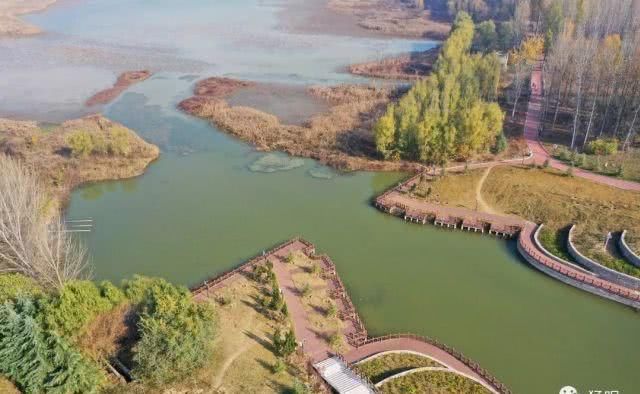 河南最大的黄河湿地自然保护区,冬日美景如画