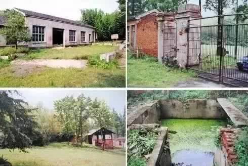 66岁大叔，8年时间打造出了中国最美私家花园，让人叹为观止！