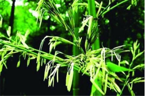  [农村]在农村，老人常说：“人穷断六亲”，什么意思？