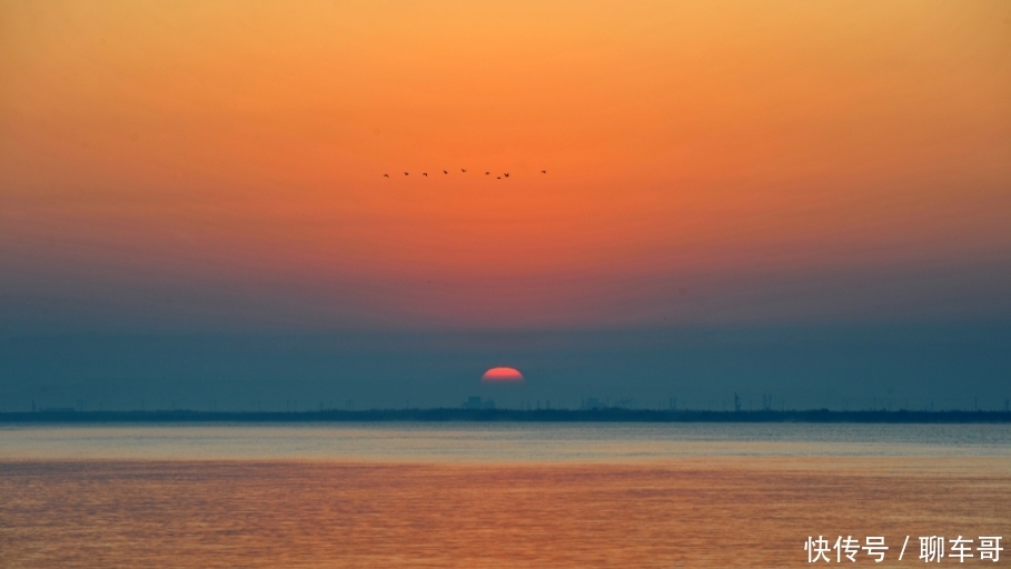 淡水鱼不能在海中生活，那黄河中的鱼呢？看完真是涨知识了！