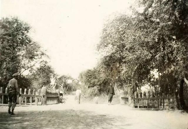 看看100年前的新疆什么样?