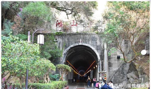  鸽子■顶澳仔猫街撸猫、白鹭洲喂鸽子，厦门文艺之旅，去过才算没白来！