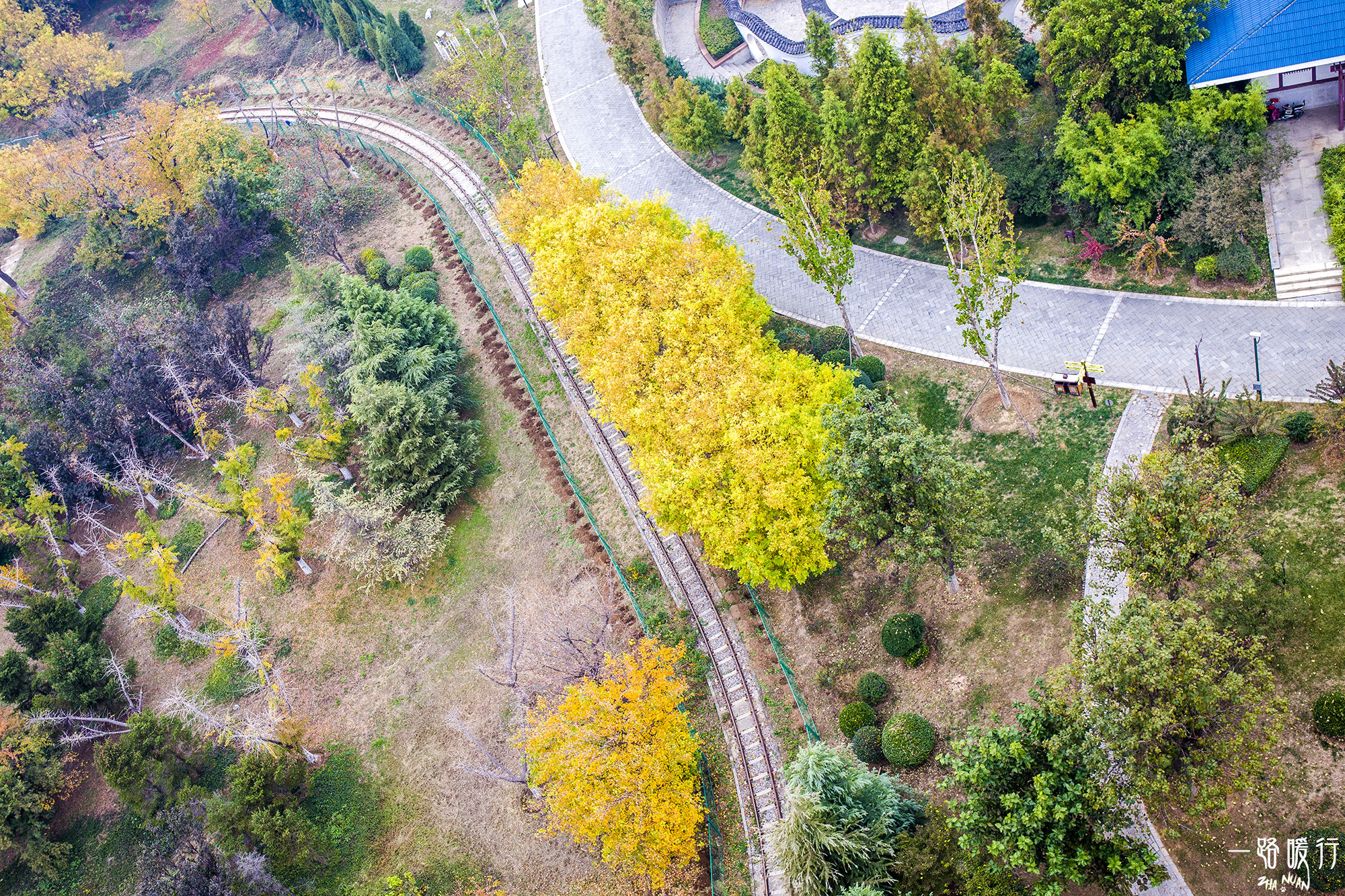 东营丨走过沧海桑田,终是在芦花飞雪的秋日遇见你