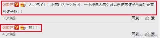 张歆艺微博开骂不是人是畜生，知道真相后，网友：骂的好！