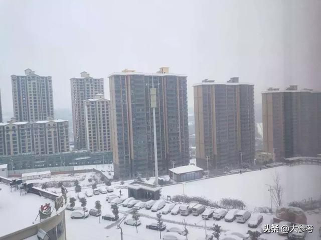 紧急提醒！河南今天预计320万辆车冒雪上路！返程的小伙伴这些信