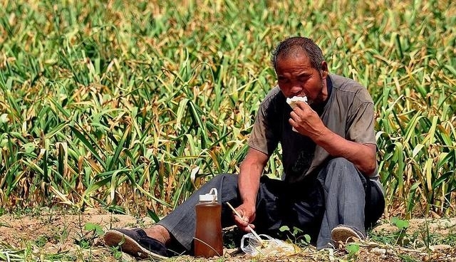 19年农村将实施“三补三不补”，农民好日子来了，三补有你吗？