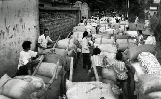 老农民交了一辈子公粮，还有另一大贡献，现在老了，怎么养老？