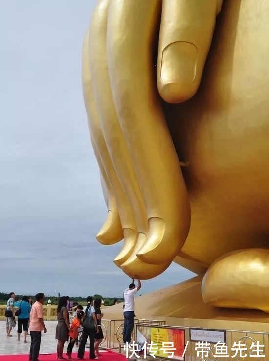 「这辈子」太壮观了,这辈子也难得见一次!一眼万年,美到窒息!