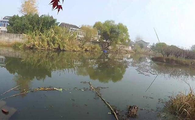  钓友：想要彻底避免小杂鱼闹窝？钓鱼人不妨试试“三步走”法