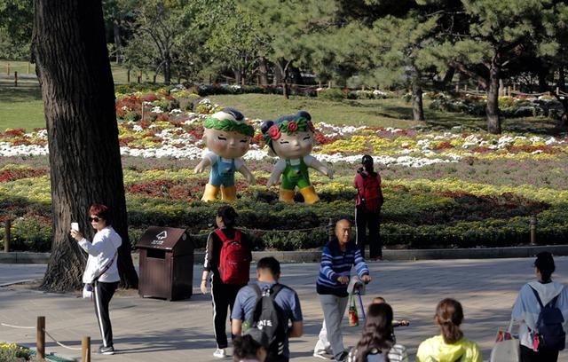 北京植物园40万株鲜花迎国庆 市花展十一开幕