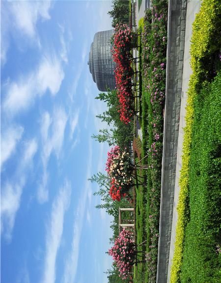  空气中■“五一赏花攻略”丨月季“偶遇”芍药，玫瑰也来“凑热闹”