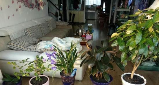  「须选择合适」想要花长得好,就得学会如何给花浇水,养花达人告诉你4个浇水妙招