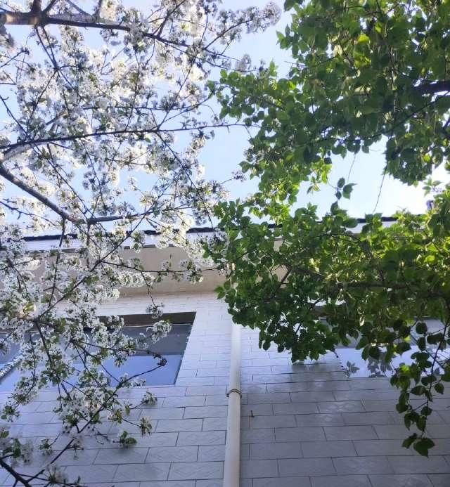  赏花：春暖花开，你赏花了么？