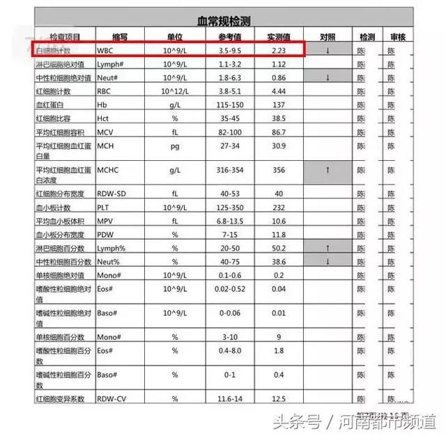 阿里员工得白血病去世，从健康到病故仅6个月！被怀疑”凶手“回