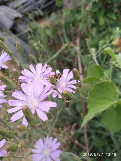  调资■2019年退休人员涨工资来了！~