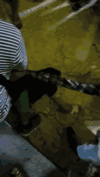 河源儿童公园有人抢小孩是谣言！谣言！谣言！