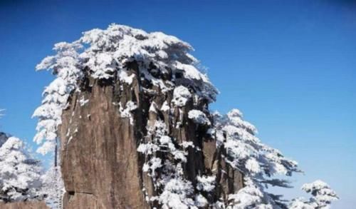黄山标志性景观，迎客松是一棵“假树”？网友：几百年来保持同一