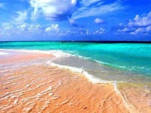 后背常有这3个表现，只要把堵毛囊的9层螨虫排出来，就会消失！