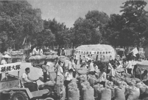 上世纪农村缴纳公粮真实老照片，公粮堆成山，农民肩挑背扛去送粮