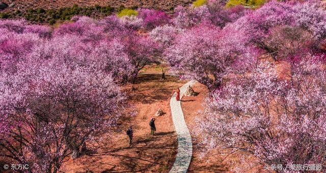 西藏波密最值得去的7个地方，大部分都是中国之最