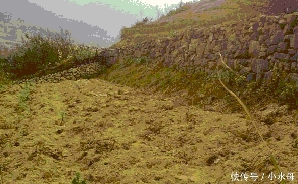 无地农民沸腾吧! 新规来了, 不用再等40年, 这些人同意马上分地!