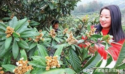 农村发现一种花，农民给专家瞅了一下，此花卖1万块钱一斤