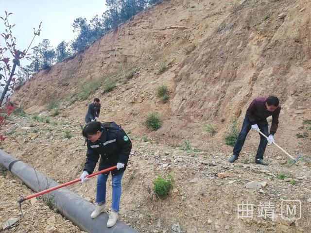 打造@会泽鹤管局全力打造鲜花大道和“花园客厅”