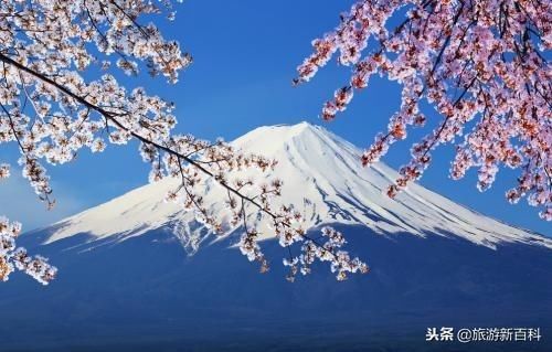 日本游客来中国疯狂购物，他们都买的什么？网友：值得深思