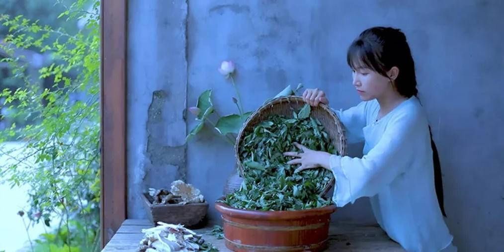 「简单」感受李子柒的平武生活,体会诗意人生,发扬古法文化
