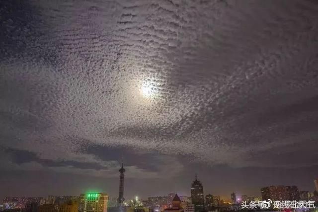 石家庄惊现“地震云”?网友吵翻了!真相竟是……