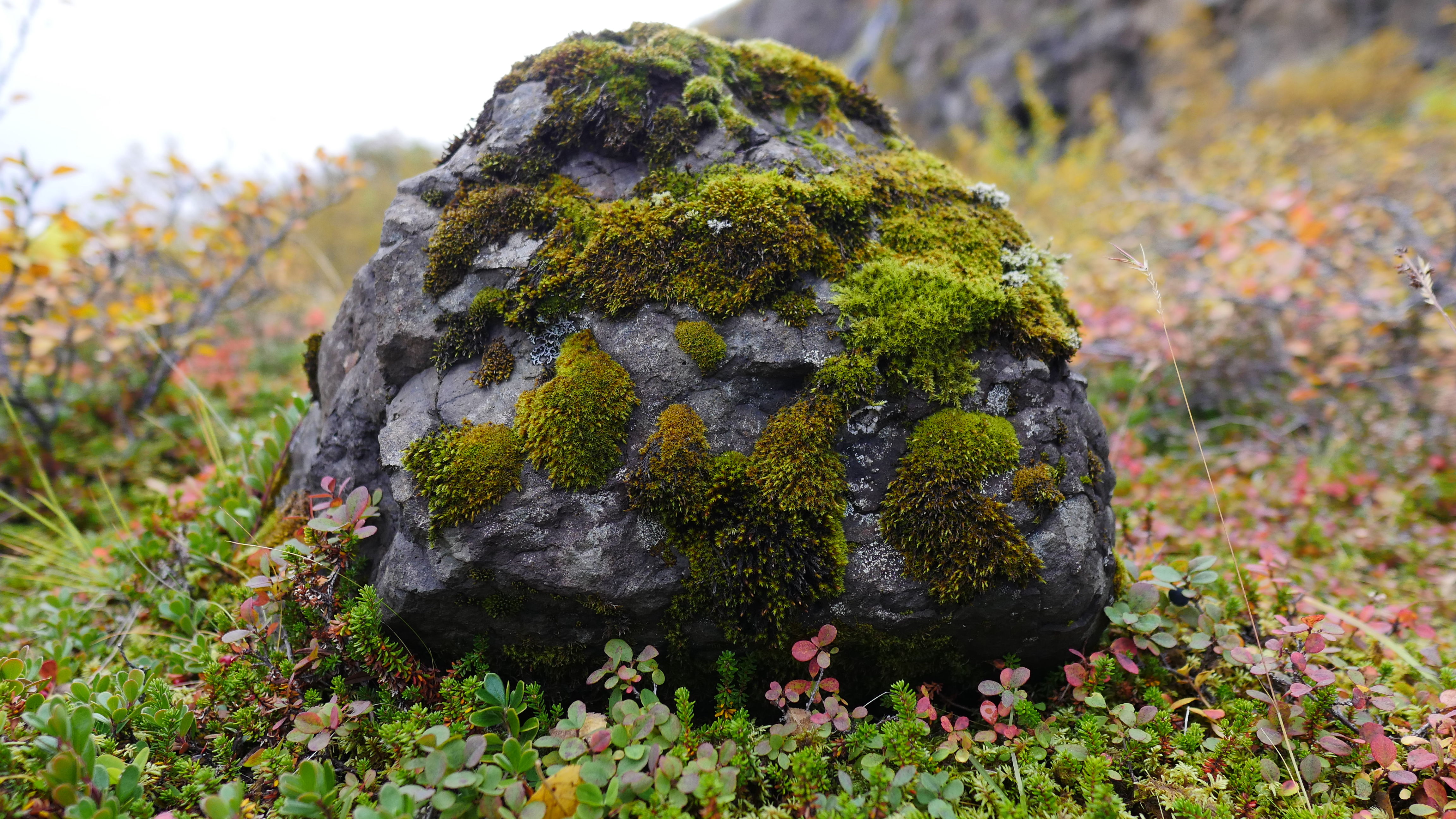 一起去世界的尽头流浪 冰岛历险记（中）