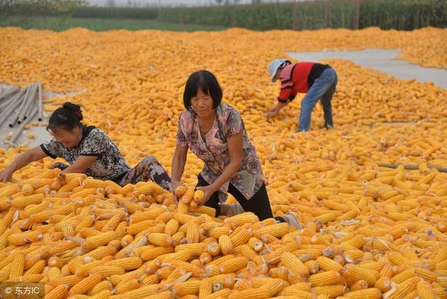 未来10年，农民的土地最终会落到谁的手里？