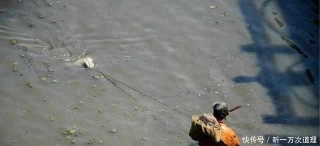 农民靠这个“臭水沟”月收入上万，城市里都没见过，你见过吗！