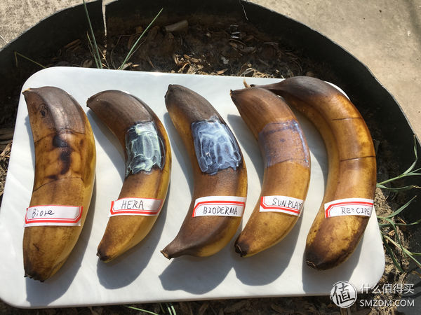 平价防晒霜测评 | 香蕉涂防晒霜的后果，瞬间惊呆了!