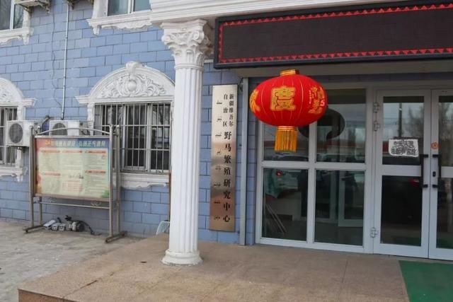 服气！接近零下20度，这台10多万的SUV还敢爬山撒野