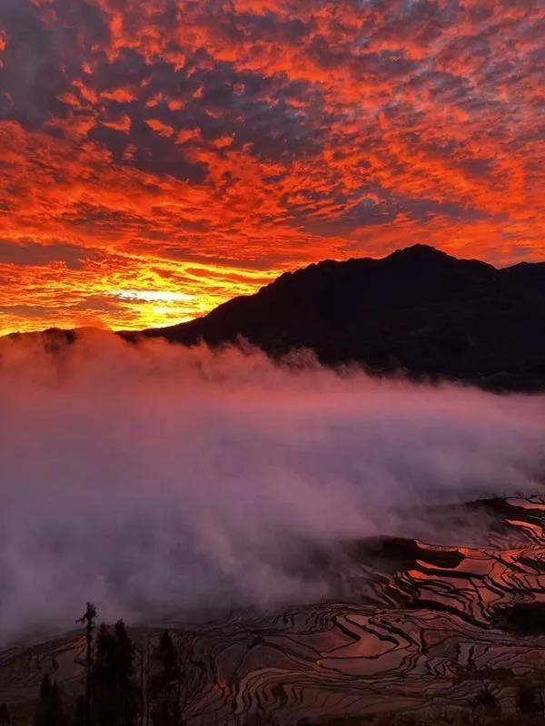 大促299元超值抢购元阳599自由行套餐