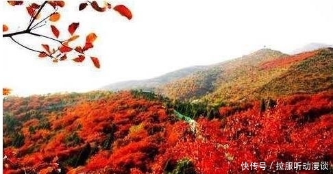 北京市资讯|刘晓宇受伤血染赛场 方硕被罚出场 林书豪得分创新高