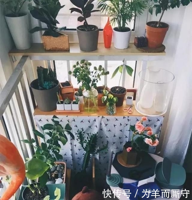  [人间天堂]在阳台搭一个花架, 造一处自己的人间天堂