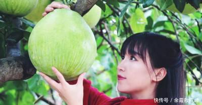 李子柒让人喜欢的不是美,而是那份美好!是对世外桃源的倾心