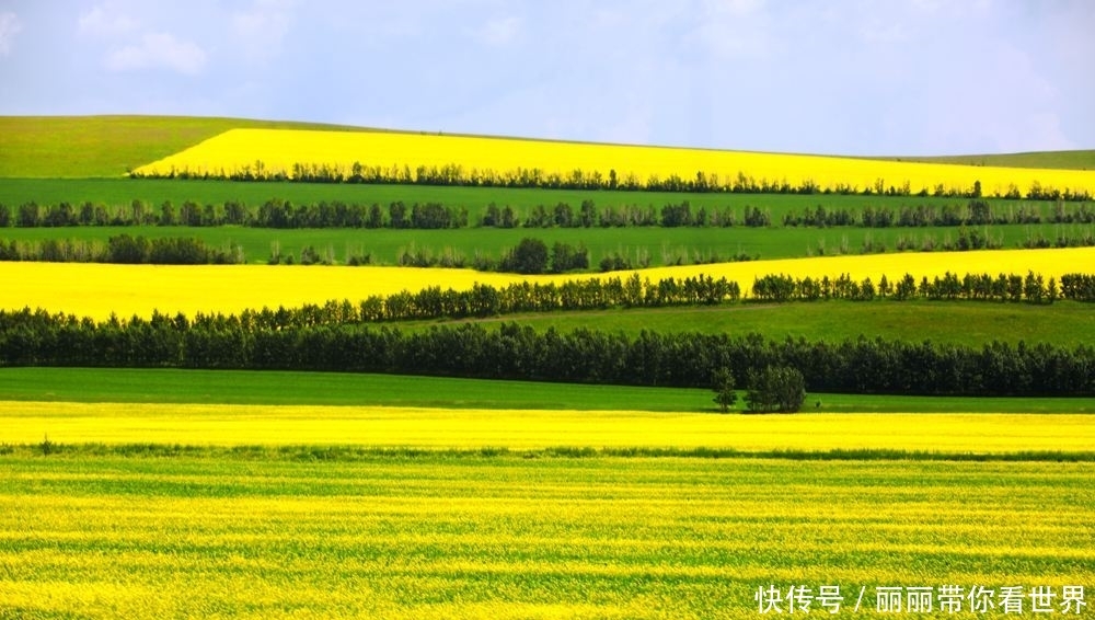 拥有世界级的草原风景，游客稀少适合散心，来这里赏景吧