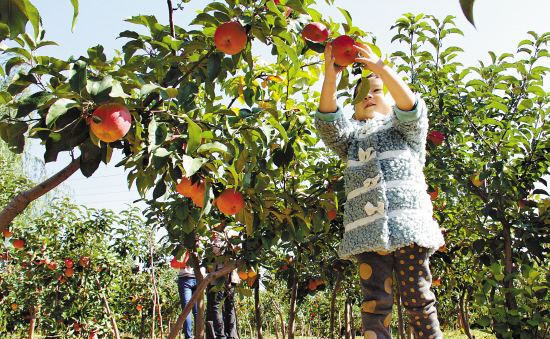  「城市」未来几年，农村将涌现3个“聚宝盆”，有人已经赚到钱，不妨试试