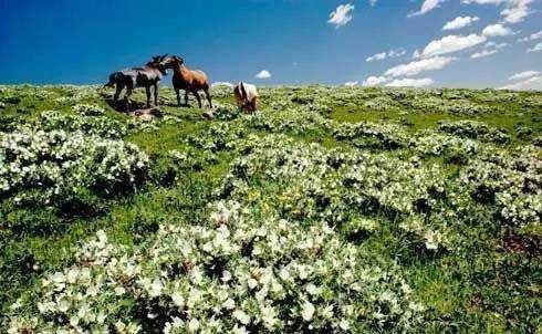  宁武天池：中国神奇小城，藏有5大千古之谜，令无数驴友叹为观止！