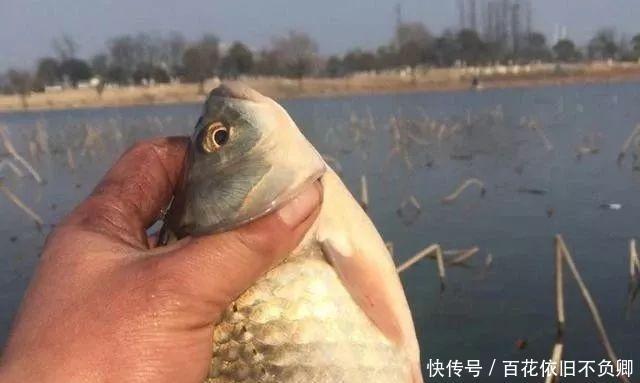 『些钓友』打窝的4种错误方式,鱼口少上鱼慢,中了的钓友赶紧改