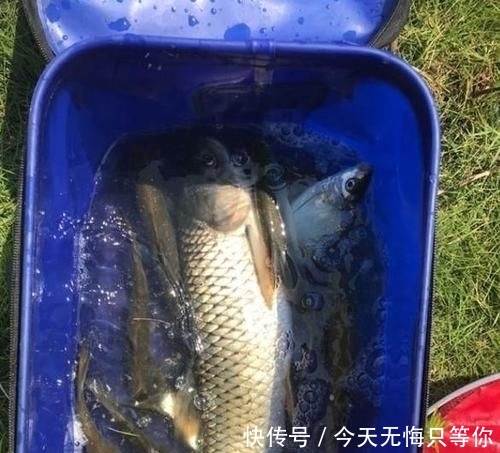 空军■春季钓鱼有“3个关键”, 掌握后鱼儿会抢着进窝,想空军都难