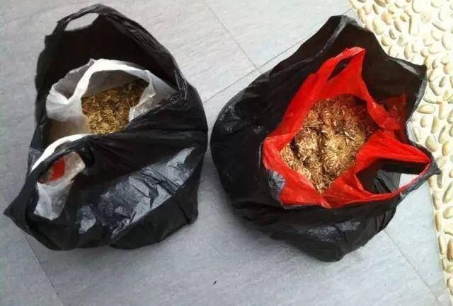  [养分]城里人真奇怪，开车来乡下捡“鸡屎”，满满一麻袋，下次还来啊