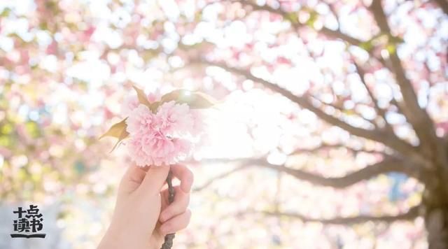  「性格」欣赏一个人，始于颜值，敬于才华，合于性格，久于善良，终于人品