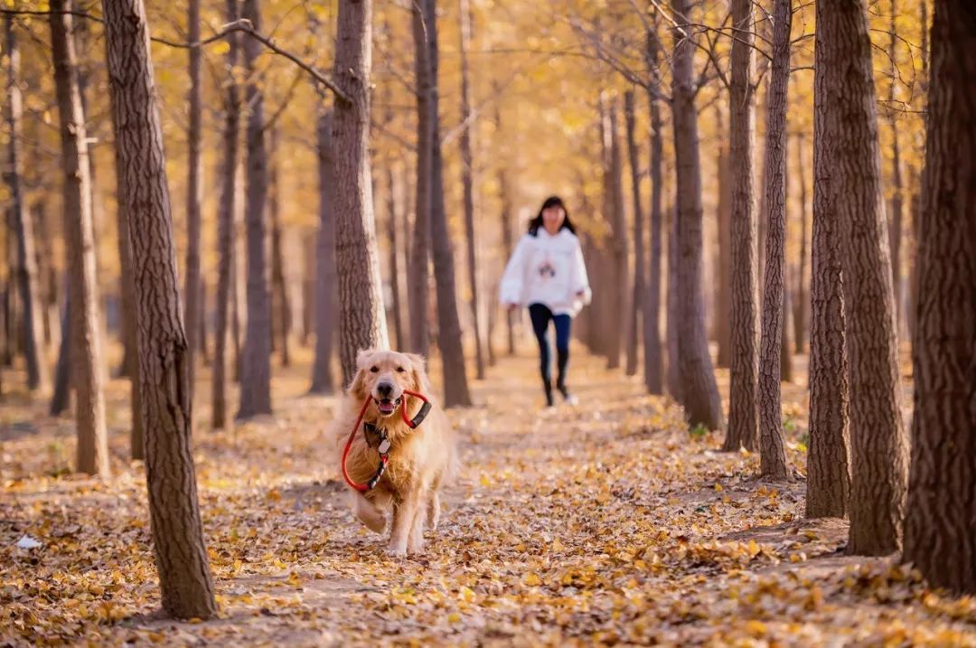 10个藏在深山人不知的古村落，却是世外桃源