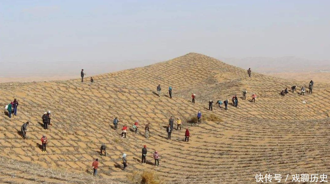中国治沙半世纪,艰苦将沙漠变成绿洲,如今却遍地垃圾!